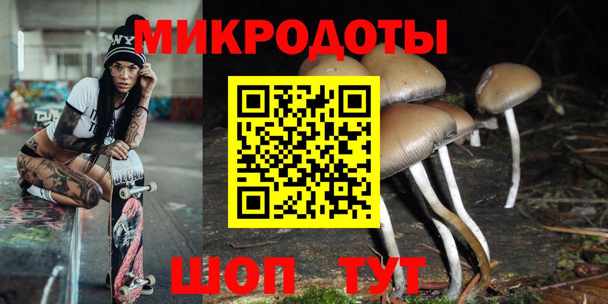 Псилоцибиновые грибы GOLDEN TEACHER Гурьевск