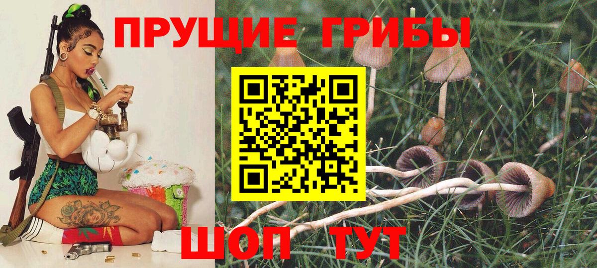 дарнет шоп  Вход с VPN  Гурьевск  Галлюциногенные грибы Magic Shrooms 