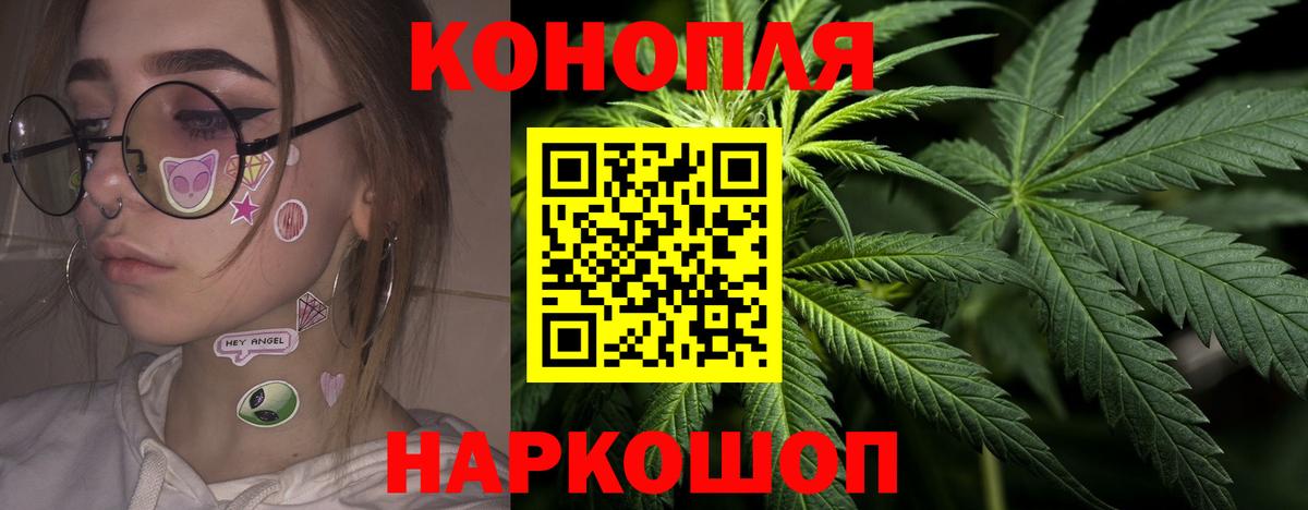 Бошки марихуана OG Kush  Марихуана White Widow  Гурьевск  Вход с VPN  Каннабис тримм 